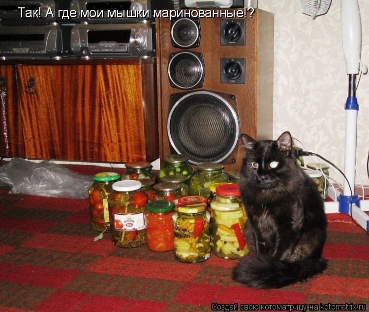 Так! А где мои мышки маринованные!?... Котоматрица: Так! А где мои мышки маринованные!?