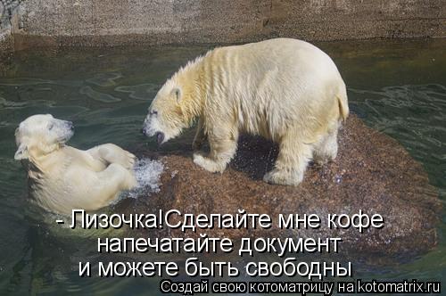 - Лизочка!Сделайте мне кофе напечатайте документ и можете быть свободны... Котоматрица: - Лизочка!Сделайте мне кофе напечатайте документ и можете быть свободны