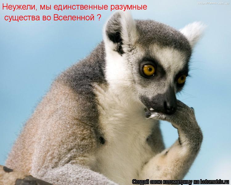 существа во Вселенной ? Неужели, мы единственные разумные... Котоматрица: существа во Вселенной ? Неужели, мы единственные разумные