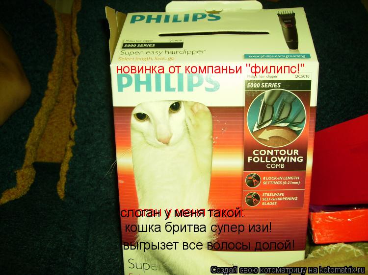 слоган у меня такой: слоган у меня такой: кошка бритва супер изи! выгрызет все волосы долой! новинка ... Котоматрица: слоган у меня такой: слоган у меня такой: кошка бритва супер изи! выгрызет все волосы долой! новинка от компаньи "филипс!"