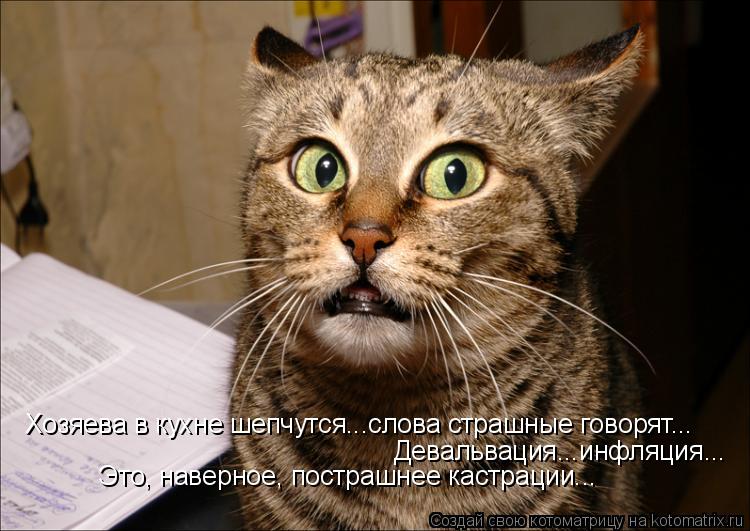 Хозяева в кухне шепчутся...слова страшные говорят... Девальвация...инфляция... Это, наверное, постраш... Котоматрица: Хозяева в кухне шепчутся...слова страшные говорят... Девальвация...инфляция... Это, наверное, пострашнее кастрации...