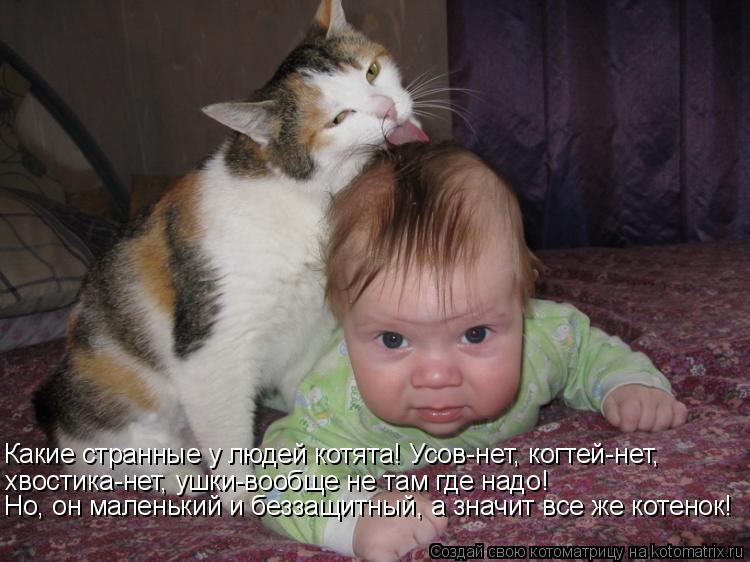 Какие странные у людей котята! Усов-нет, когтей-нет, хвостика-нет, ушки-вообще не там где надо! Но,... Котоматрица: Какие странные у людей котята! Усов-нет, когтей-нет, хвостика-нет, ушки-вообще не там где надо! Но, он маленький и беззащитный, а значит все ж