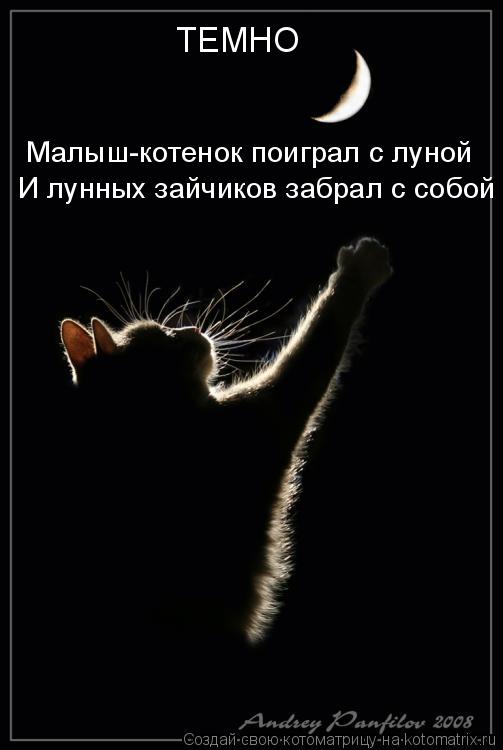 ТЕМНО Малыш-котенок поиграл с луной И лунных зайчиков забрал с собой... Котоматрица: ТЕМНО Малыш-котенок поиграл с луной И лунных зайчиков забрал с собой