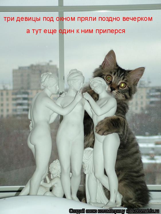 три девицы под окном пря три девицы под окном пряли поздно вечерком а тут еще один к ним приперся... Котоматрица: три девицы под окном пря три девицы под окном пряли поздно вечерком а тут еще один к ним приперся