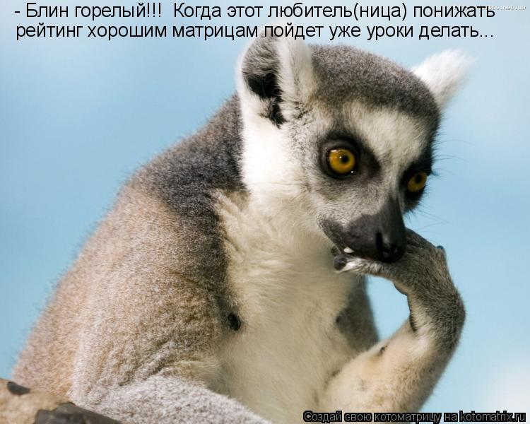 - Блин горелый!!! Когда этот любитель(ница) понижать рейтинг хорошим матрицам пойдет уже уроки дела... Котоматрица: - Блин горелый!!! Когда этот любитель(ница) понижать рейтинг хорошим матрицам пойдет уже уроки делать...