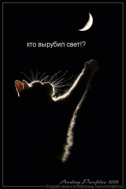 кто вырубил свет!?... Котоматрица: кто вырубил свет!?