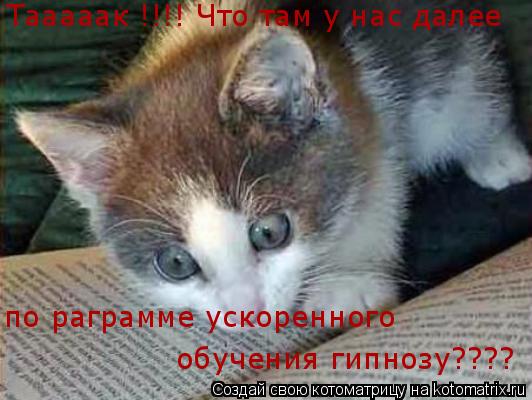 Котоматрица: Тааааак !!!! Что там у нас далее по раграмме ускоренного обучения гипнозу????