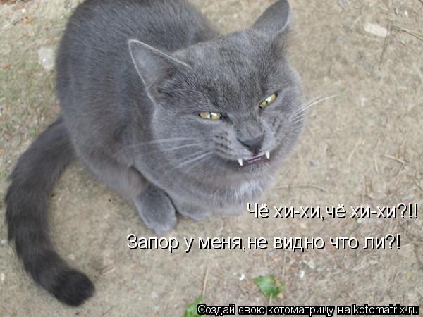 Котоматрица: Чё хи-хи,чё хи-хи?!! Запор у меня,не видно что ли?!