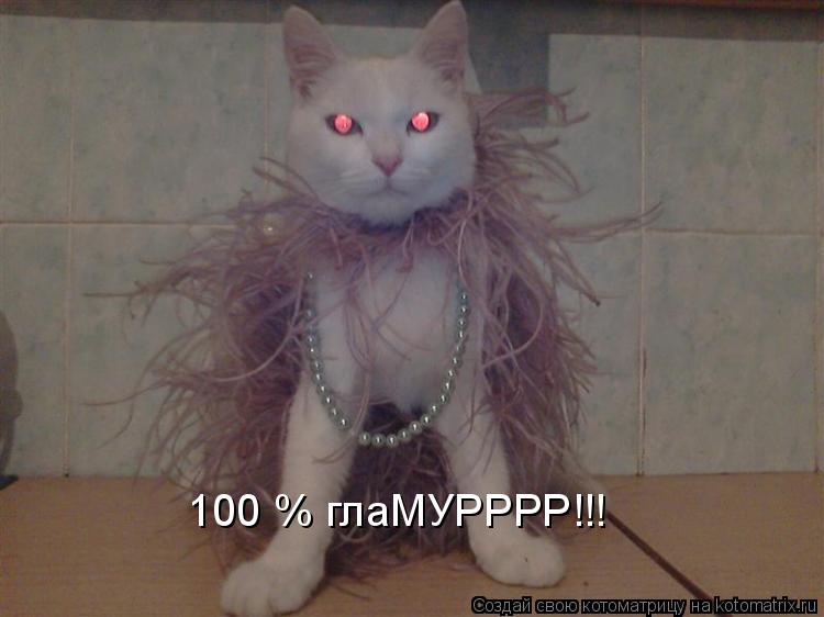 Котоматрица: 100 % глаМУРРРР!!!