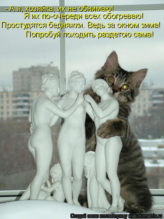 - А я, хозяйка, их не обнимаю! Я их по-очереди всех обогреваю! Простудятся бедняжки. Ведь за окном зи... Котоматрица: - А я, хозяйка, их не обнимаю! Я их по-очереди всех обогреваю! Простудятся бедняжки. Ведь за окном зима! Попробуй походить раздетою сама!