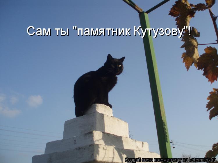 Сам ты "памятник Кутузову"!... Котоматрица: Сам ты "памятник Кутузову"!