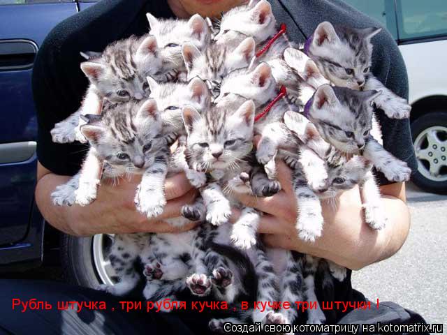 Рубль штучка , три рубля кучка , в кучке три штучки !... Котоматрица: Рубль штучка , три рубля кучка , в кучке три штучки !