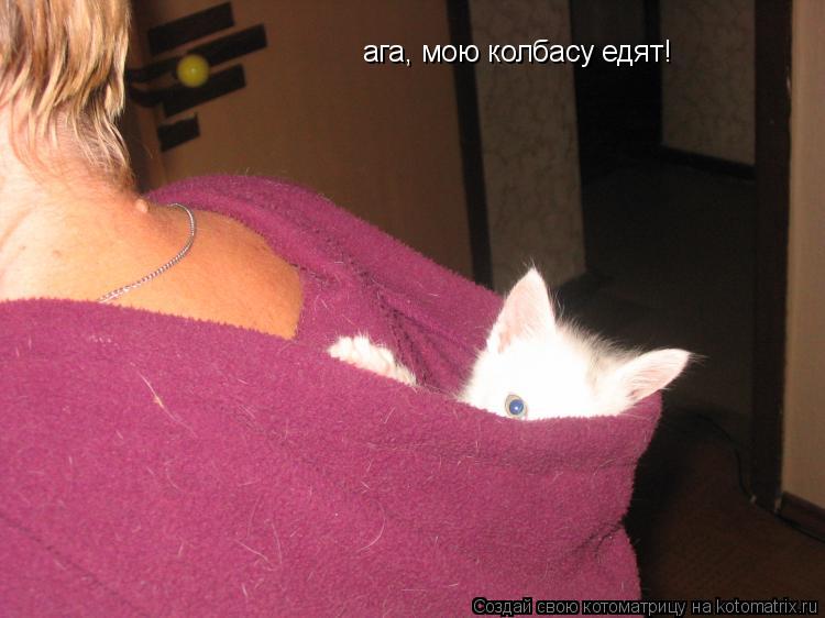 ага, мою колбасу едят!... Котоматрица: ага, мою колбасу едят!