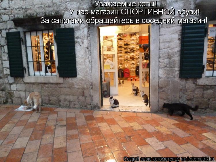 Котоматрица: Уважаемые коты! У нас магазин СПОРТИВНОЙ обуви! За сапогами обращайтесь в соседний магазин!