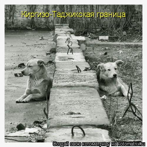 Киргизо-Таджикская граница... Котоматрица: Киргизо-Таджикская граница