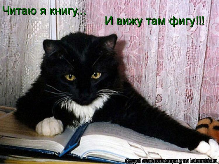 Читаю я книгу... И вижу там фигу!!!... Котоматрица: Читаю я книгу... И вижу там фигу!!!