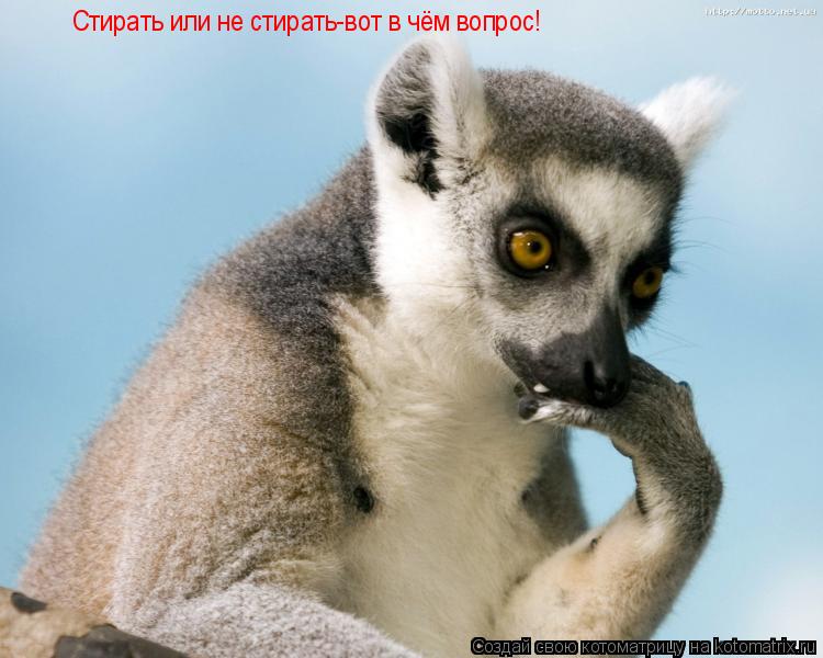 Стирать или не стирать-вот в чём вопрос!... Котоматрица: Стирать или не стирать-вот в чём вопрос!