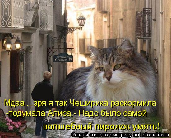 Мдаа....зря я так Чеширика раскормила -подумала Алиса.- Надо было самой волшебный пирожок умять!... Котоматрица: Мдаа....зря я так Чеширика раскормила -подумала Алиса.- Надо было самой волшебный пирожок умять!