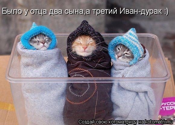 Было у отца два сына,а третий Иван-дурак :)... Котоматрица: Было у отца два сына,а третий Иван-дурак :)