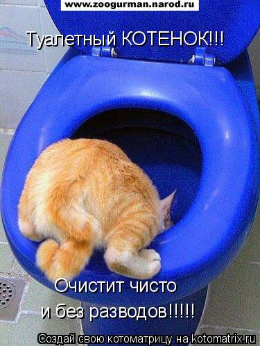 Туалетный КОТЕНОК!!! Очистит чисто и без разводов!!!!!... Котоматрица: Туалетный КОТЕНОК!!! Очистит чисто и без разводов!!!!!