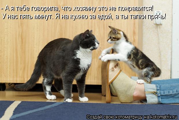 - А я тебе говорила, что хозяину это не понравится! У нас пять минут. Я на кухню за едой, а ты тапки ... Котоматрица: - А я тебе говорила, что хозяину это не понравится! У нас пять минут. Я на кухню за едой, а ты тапки прячь!