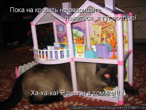 Пока на кровать не разришите ложиться, я тут посплю! Ха-ха-ха! Я демон в домике!!!... Котоматрица: Пока на кровать не разришите ложиться, я тут посплю! Ха-ха-ха! Я демон в домике!!!