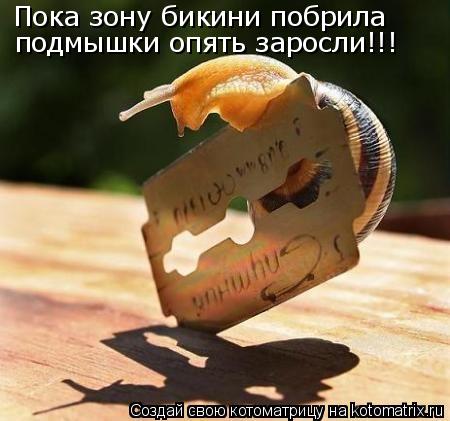 Пока зону бикини побрила подмышки опять заросли!!!... Котоматрица: Пока зону бикини побрила подмышки опять заросли!!!