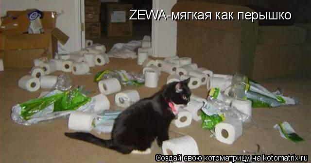 ZEWA-мягкая как перышко... Котоматрица: ZEWA-мягкая как перышко