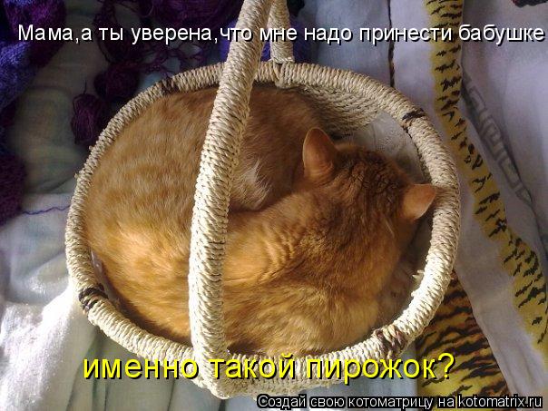Котоматрица: Мама,а ты уверена,что мне надо принести бабушке именно такой пирожок?
