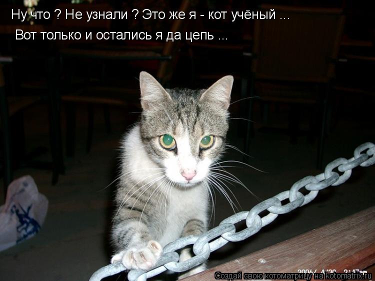 Ну что ? Не узнали ? Это же я - кот учёный ... Вот только и остались я да цепь ...... Котоматрица: Ну что ? Не узнали ? Это же я - кот учёный ... Вот только и остались я да цепь ...