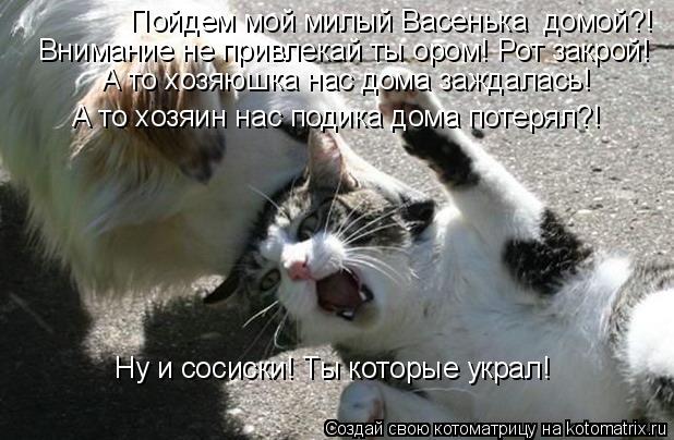 Пойдем мой милый Васенька домой?! Внимание не привлекай ты ором! Рот закрой! А то хозяюшка нас дома ... Котоматрица: Пойдем мой милый Васенька домой?! Внимание не привлекай ты ором! Рот закрой! А то хозяюшка нас дома заждалась! А то хозяин нас подика дома по