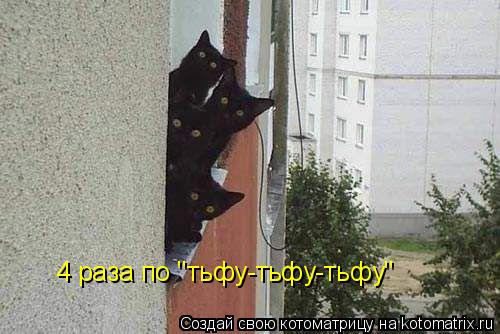 4 раза по "тьфу-тьфу-тьфу"... Котоматрица: 4 раза по "тьфу-тьфу-тьфу"