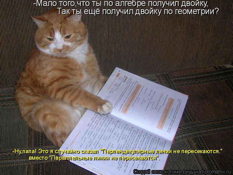 Котоматрица: Так ты ещё получил двойку по геометрии? -Мало того,что ты по алгебре получил двойку, -Ну,папа! Это я случайно сказал "Перпендекулярные линии н