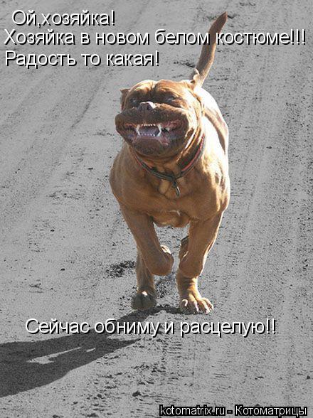 Котоматрица: Ой,хозяйка!Хозяйка в новом белом костюме!!Радость то какая!Сейчас обниму и расцелую! Ой,хозяйка! Хозяйка в новом белом костюме!!! Радость то к