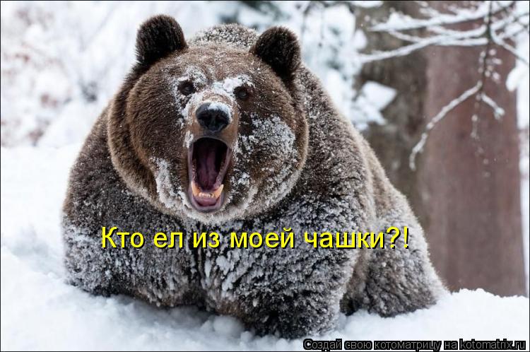 Котоматрица: Кто ел из моей чашки?!