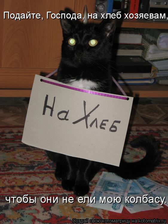 Котоматрица: чтобы они не ели мою колбасу. Подайте, Господа, на хлеб хозяевам,