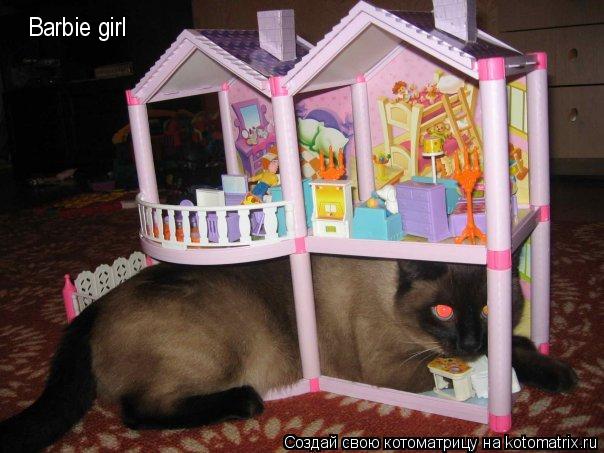 Котоматрица: Barbie girl