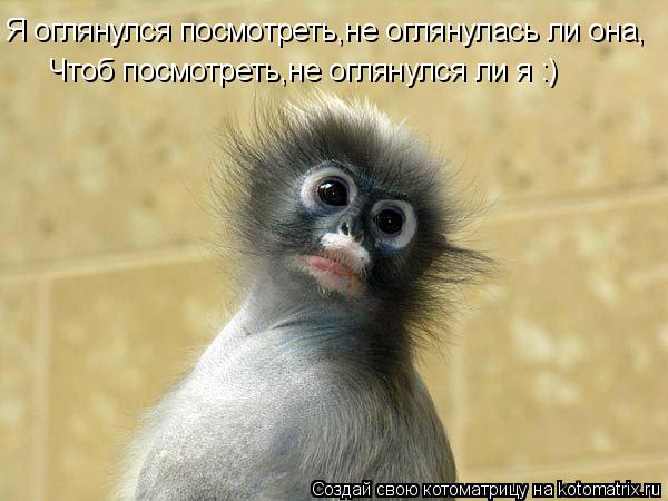 Котоматрица: Я оглянулся посмотреть,не оглянулась ли она, Чтоб посмотреть,не оглянулся ли я :)