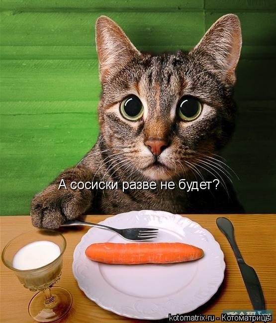 Котоматрица: А сосиски разве не будет?