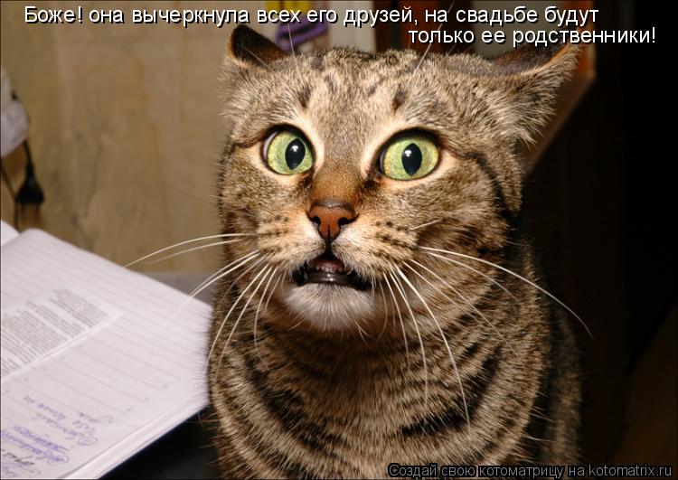 Котоматрица: Боже! она вычеркнула всех его друзей, на свадьбе будут  только ее родственники!