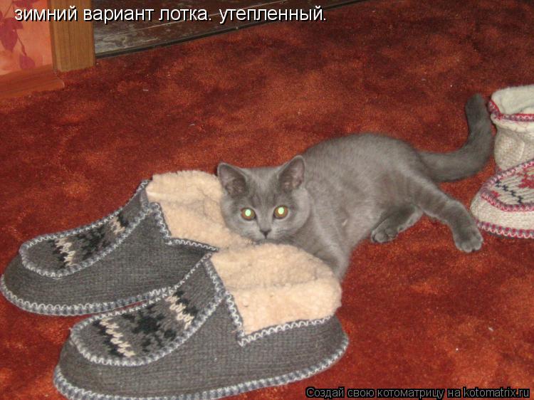 Котоматрица: зимний вариант лотка. утепленный.