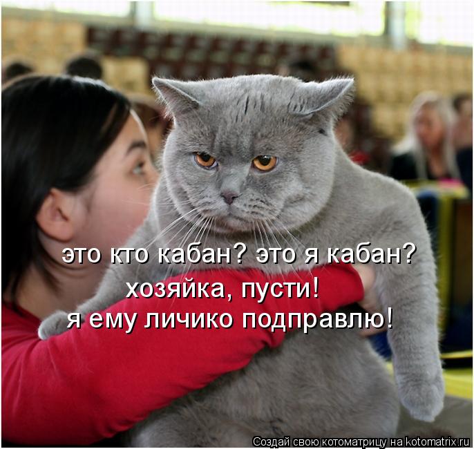 Котоматрица: это кто кабан? это я кабан? хозяйка, пусти!  я ему личико подправлю!
