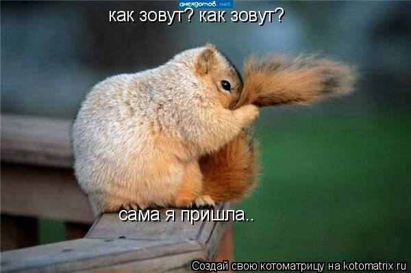 Котоматрица: как зовут? как зовут? сама я пришла..