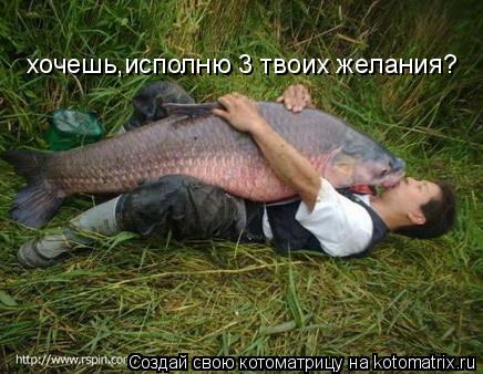 Котоматрица: хочешь,исполню 3 твоих желания?