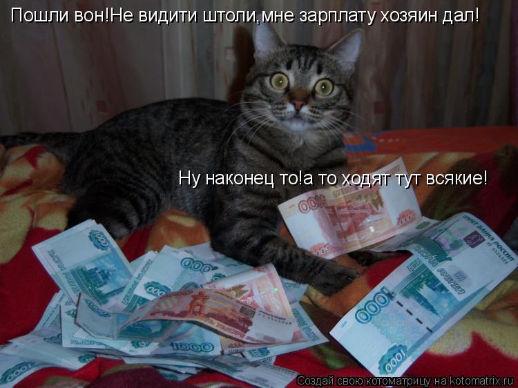 Пошли вон!Не видити штоли,мне зарплату хозяин дал! Ну наконец то!а то ходят тут всякие!... Котоматрица: Пошли вон!Не видити штоли,мне зарплату хозяин дал! Ну наконец то!а то ходят тут всякие!
