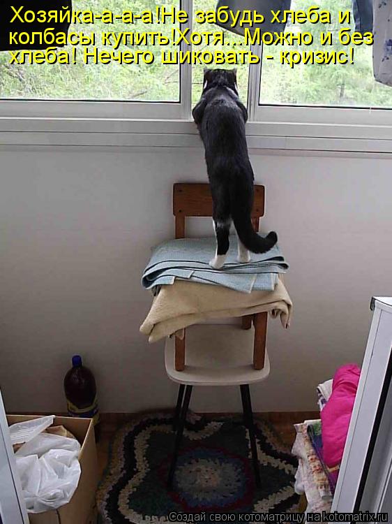 Котоматрица: Хозяйка-а-а-а!Не забудь хлеба и колбасы купить!Хотя...Можно и без хлеба! Нечего шиковать - кризис!