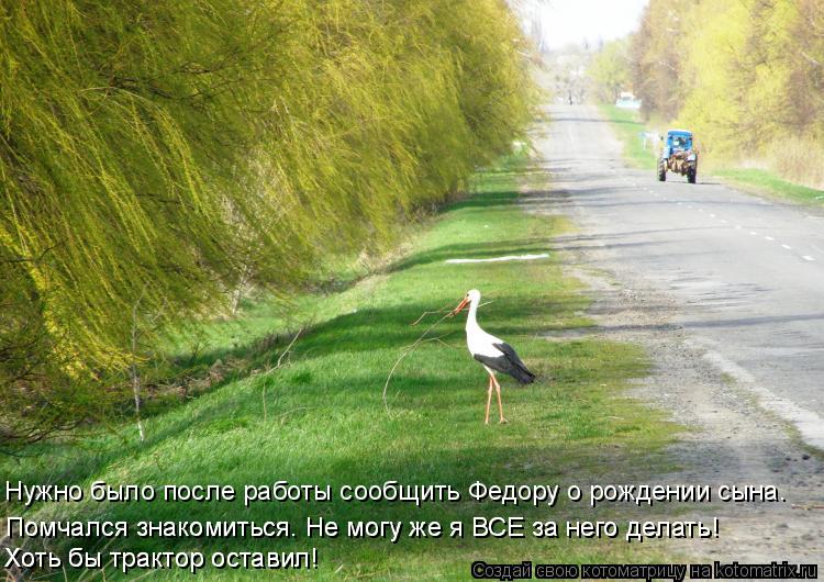 Котоматрица: Нужно было после работы сообщить Федору о рождении сына. Помчался знакомиться. Не могу же я ВСЕ за него делать! Помчался знакомиться. Не мог