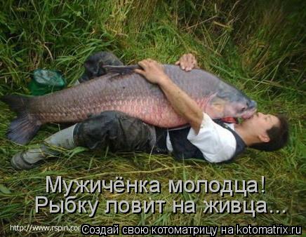 Котоматрица: Мужичёнка молодца! Рыбку ловит на живца...