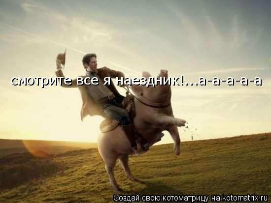 Котоматрица: смотрите все я наездник!...а-а-а-а-а