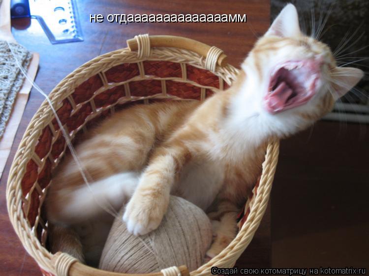 не отдаааааааааааааамм... Котоматрица: не отдаааааааааааааамм